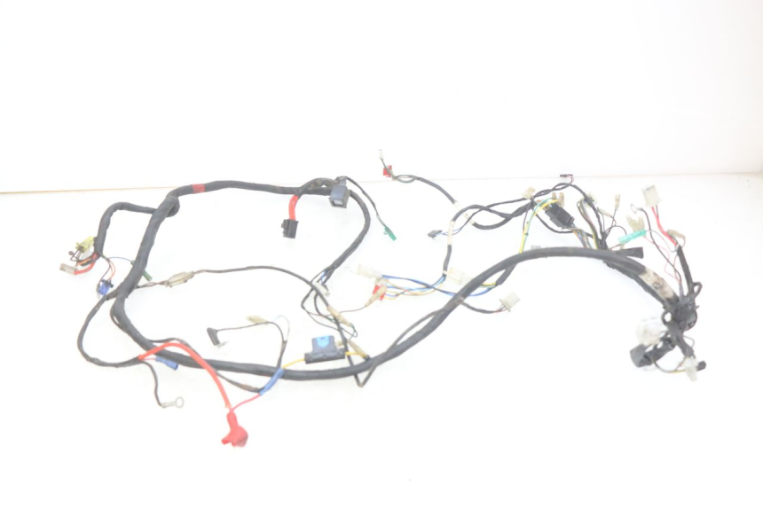 photo de WIRING HARNESS TGB CITY 2 50 (2009 - 2013)