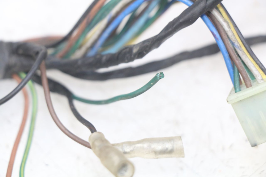 photo de WIRING HARNESS TGB CITY 2 50 (2009 - 2013)