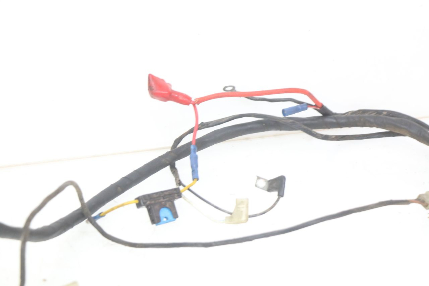 photo de WIRING HARNESS TGB CITY 2 50 (2009 - 2013)