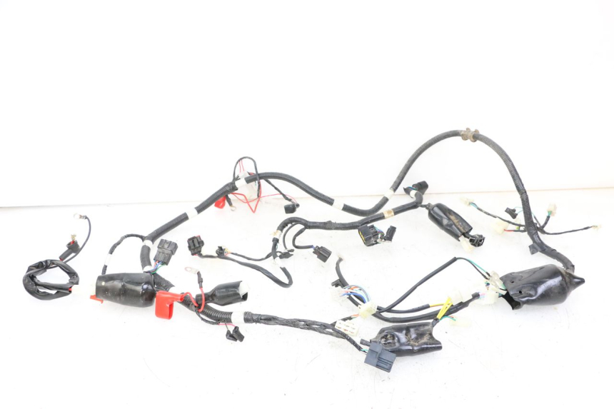 photo de WIRE HARNESS TNT MOTOR BOSTON 4T 50 (2018 - 2025)