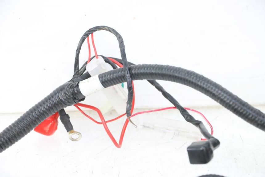 photo de WIRE HARNESS TNT MOTOR BOSTON 4T 50 (2018 - 2025)