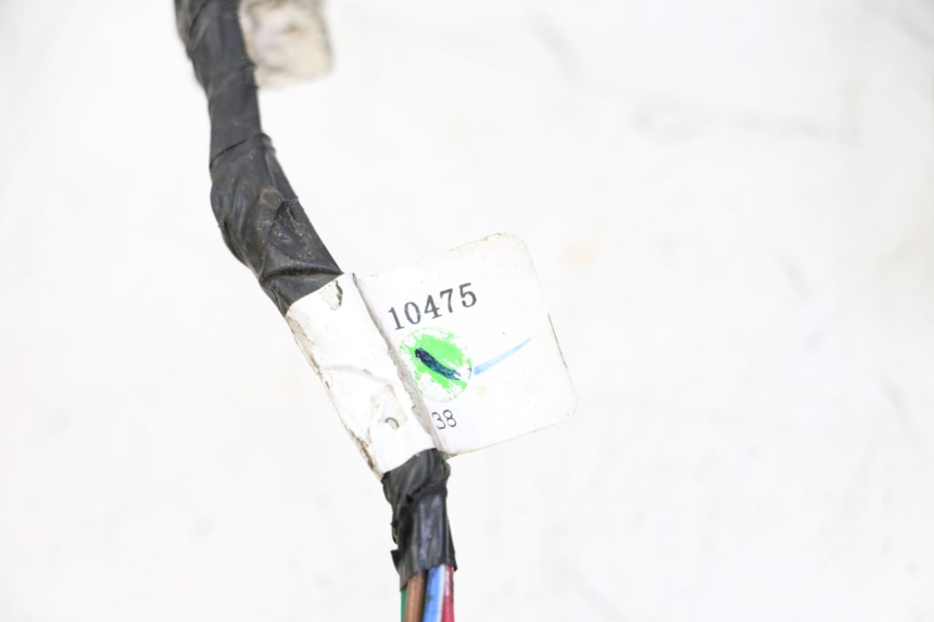 photo de WIRE HARNESS TNT MOTOR BOSTON 4T 50 (2018 - 2025)