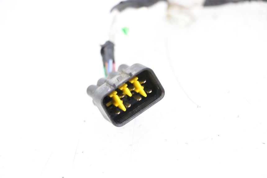 photo de WIRE HARNESS TNT MOTOR BOSTON 4T 50 (2018 - 2025)