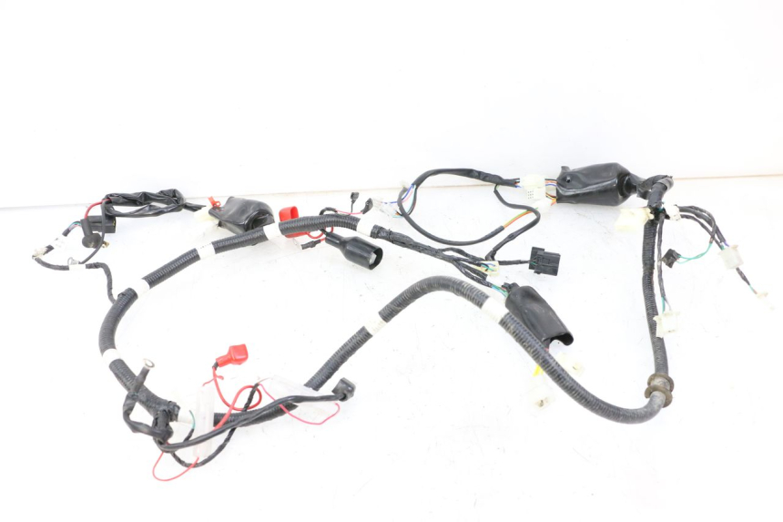 photo de WIRE HARNESS TNT MOTOR BOSTON 4T 50 (2018 - 2025)