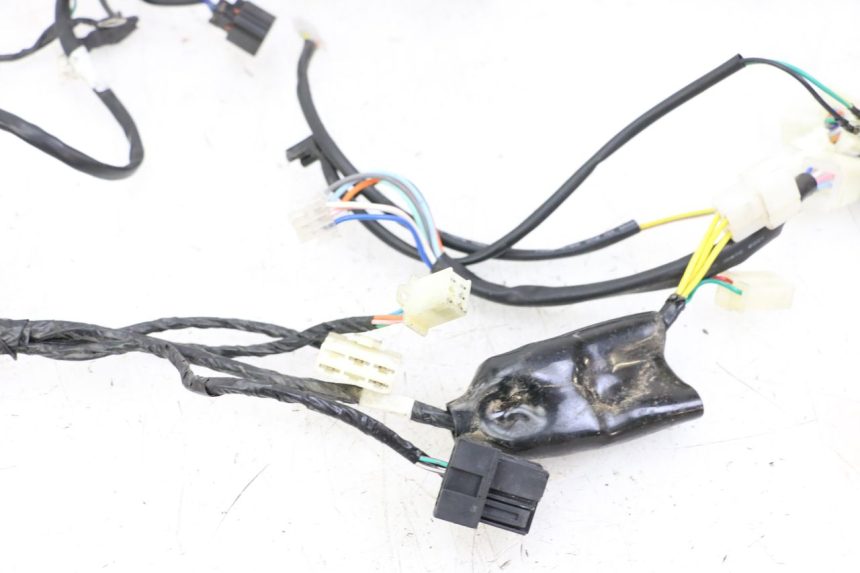 photo de WIRE HARNESS TNT MOTOR BOSTON 4T 50 (2018 - 2025)