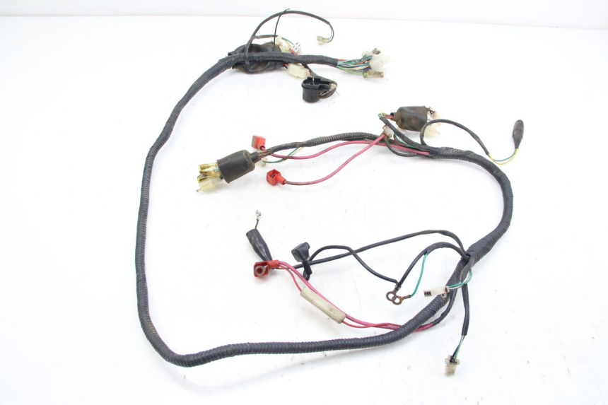 photo de WIRING HARNESS TNT MOTOR OTTO 2T 50 (2012 - 2018)