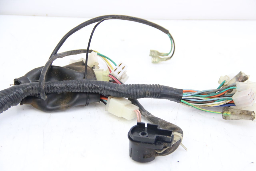 photo de WIRING HARNESS TNT MOTOR OTTO 2T 50 (2012 - 2018)