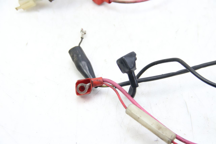 photo de WIRING HARNESS TNT MOTOR OTTO 2T 50 (2012 - 2018)