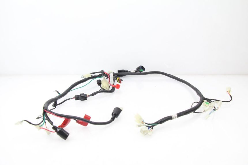 photo de WIRE HARNESS TNT MOTOR ROMA 10' 4T 50 (2007 - 2018)