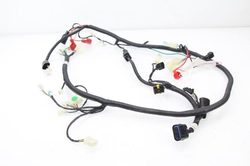 photo de WIRE HARNESS TNT MOTOR ROMA 10' 4T 50 (2007 - 2018)