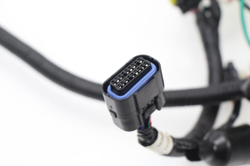 photo de WIRE HARNESS TNT MOTOR ROMA 10' 4T 50 (2007 - 2018)