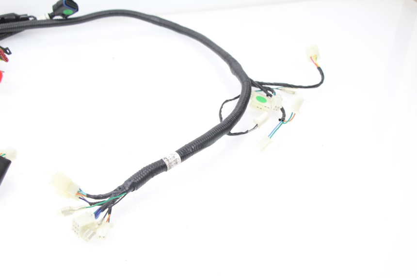 photo de WIRE HARNESS TNT MOTOR ROMA 10' 4T 50 (2007 - 2018)