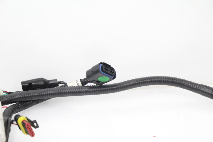 photo de WIRE HARNESS TNT MOTOR ROMA 10' 4T 50 (2007 - 2018)