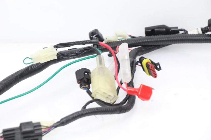 photo de WIRE HARNESS TNT MOTOR ROMA 10' 4T 50 (2007 - 2018)