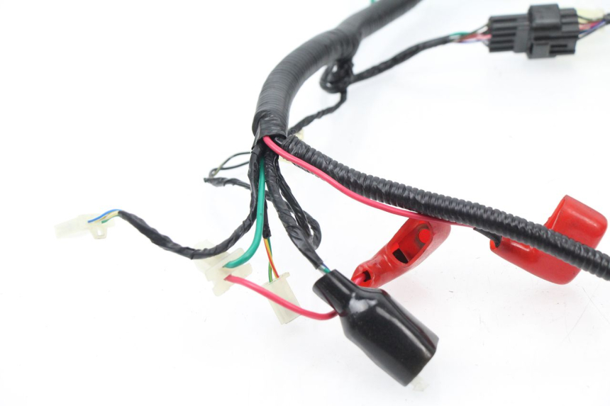 photo de WIRE HARNESS TNT MOTOR ROMA 10' 4T 50 (2007 - 2018)