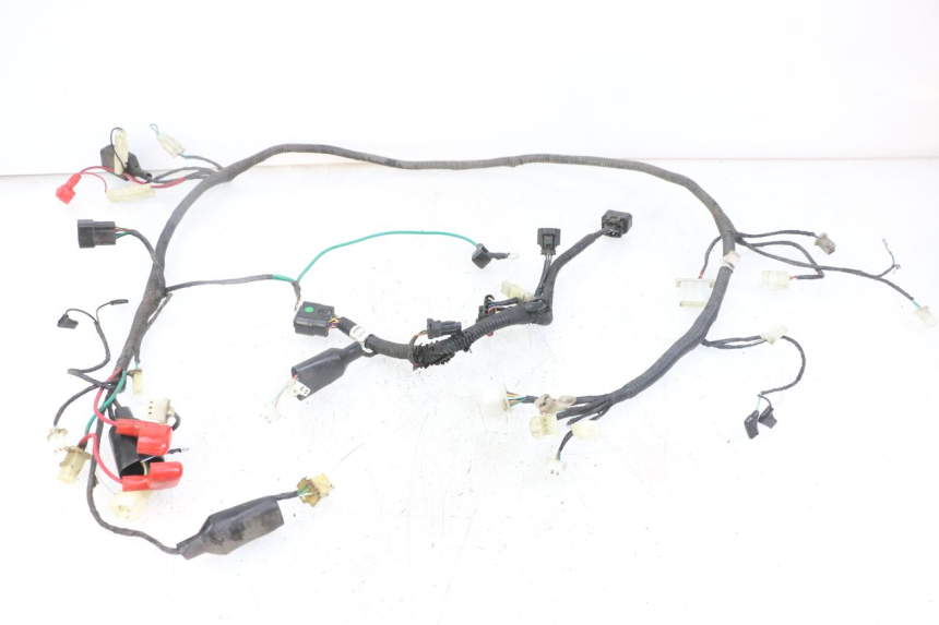 photo de WIRING HARNESS TNT MOTOR ROMA 10' 4T 50 (2019 - 2022)