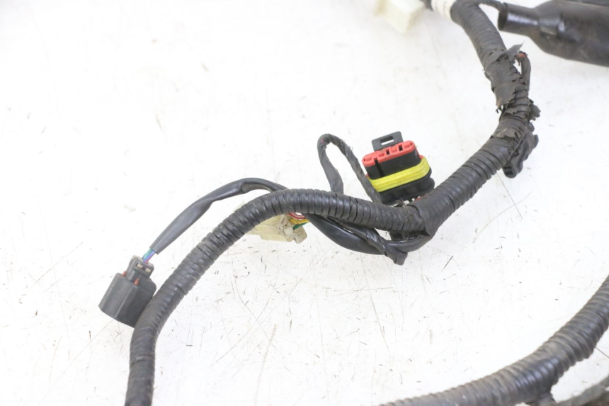 photo de WIRING HARNESS TNT MOTOR ROMA 10' 4T 50 (2019 - 2022)