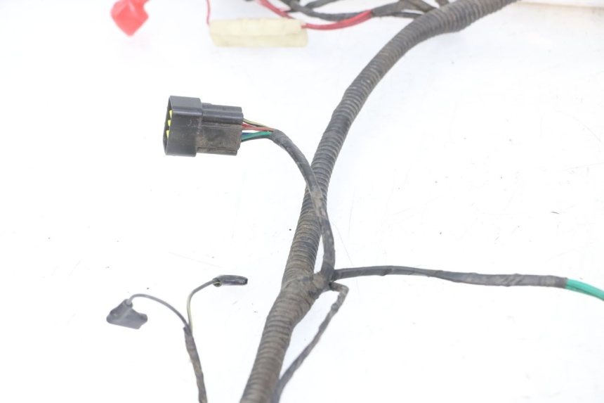 photo de WIRING HARNESS TNT MOTOR ROMA 10' 4T 50 (2019 - 2022)