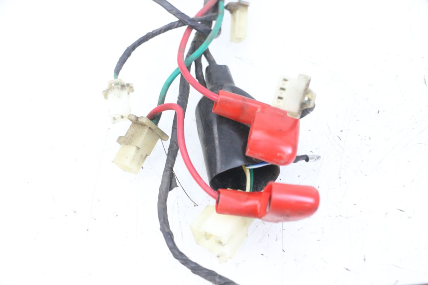 photo de WIRING HARNESS TNT MOTOR ROMA 10' 4T 50 (2019 - 2022)