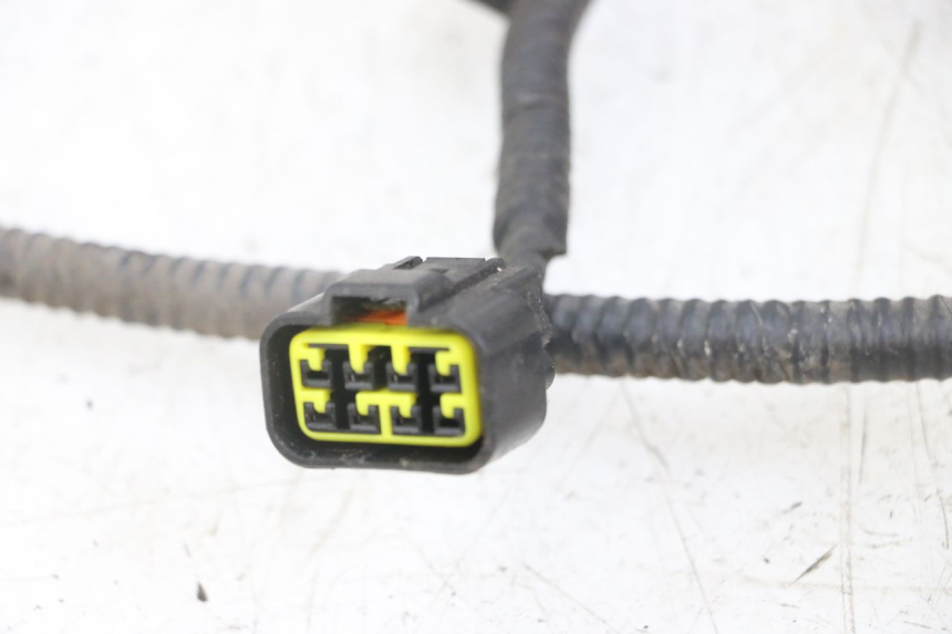 photo de WIRING HARNESS TNT MOTOR ROMA 10' 4T 50 (2019 - 2022)
