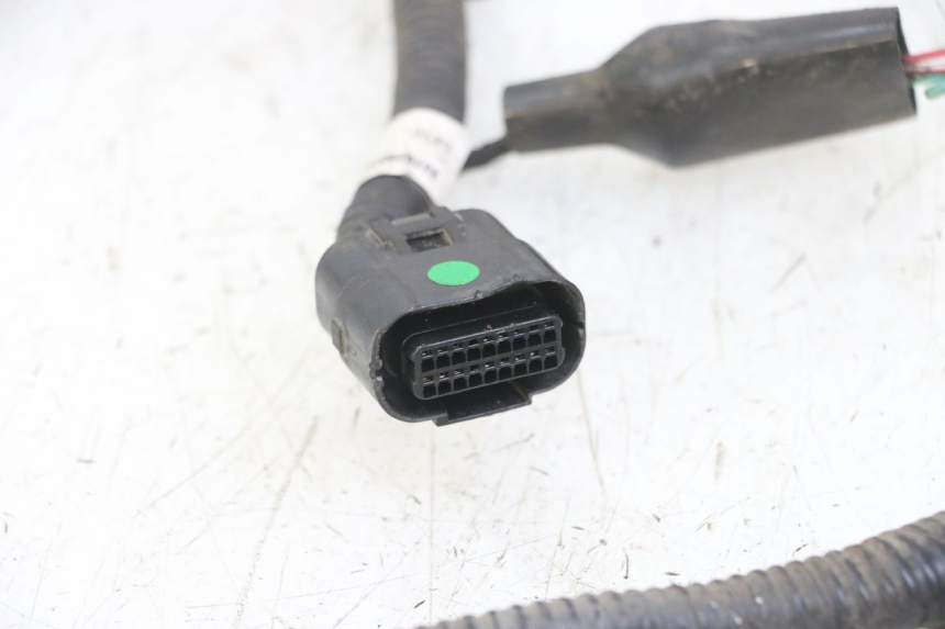 photo de WIRING HARNESS TNT MOTOR ROMA 10' 4T 50 (2019 - 2022)