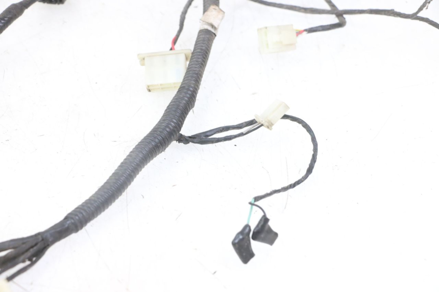 photo de WIRING HARNESS TNT MOTOR ROMA 10' 4T 50 (2019 - 2022)
