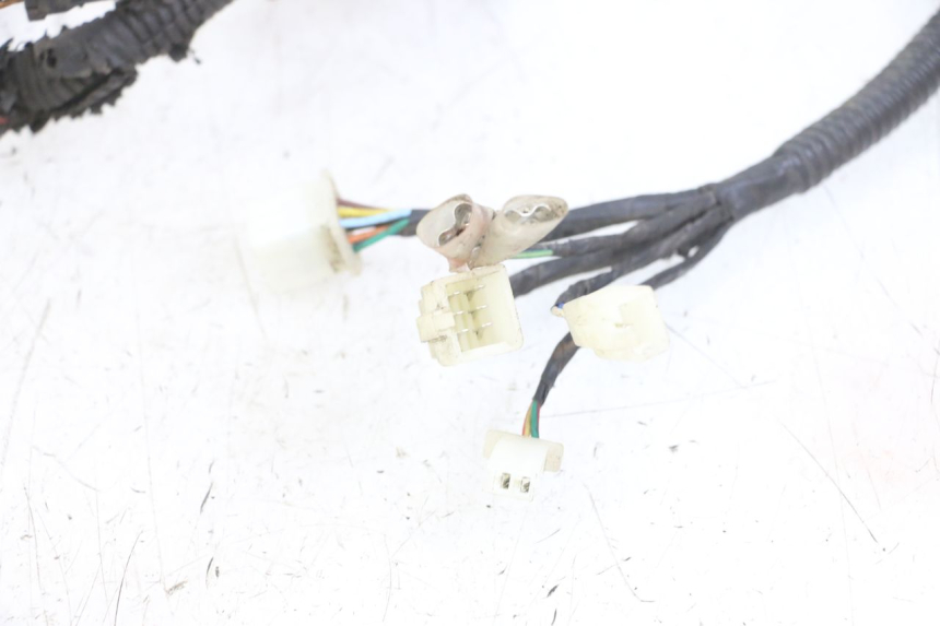 photo de WIRING HARNESS TNT MOTOR ROMA 10' 4T 50 (2019 - 2022)