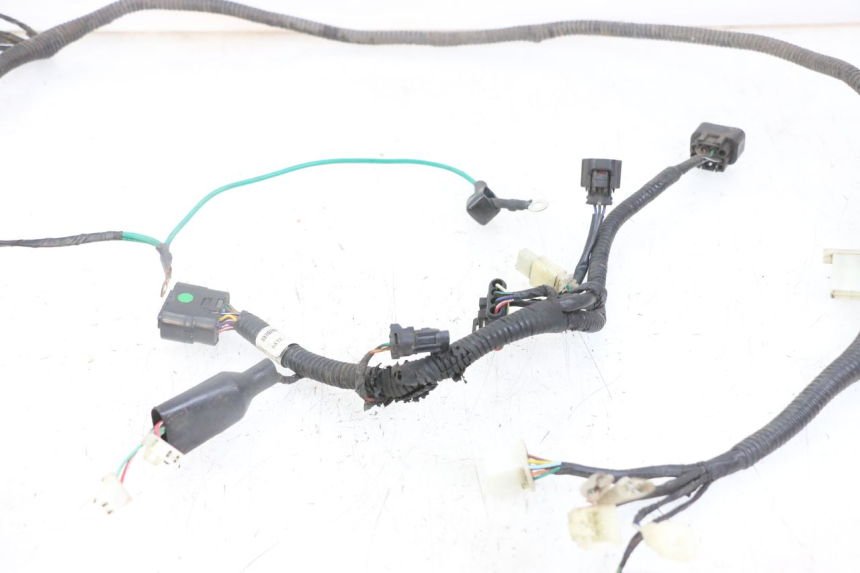 photo de WIRING HARNESS TNT MOTOR ROMA 10' 4T 50 (2019 - 2022)