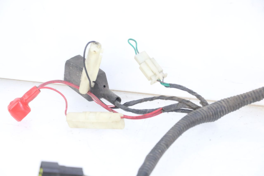 photo de WIRING HARNESS TNT MOTOR ROMA 10' 4T 50 (2019 - 2022)