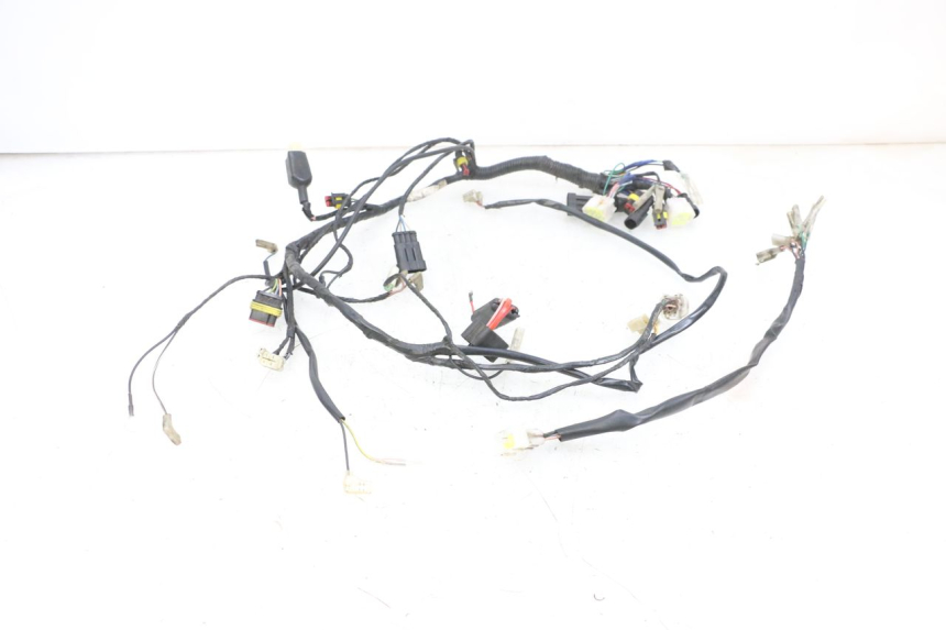 photo de WIRE HARNESS KSR TR SM 50 (2015 - 2018) - Focus on structure