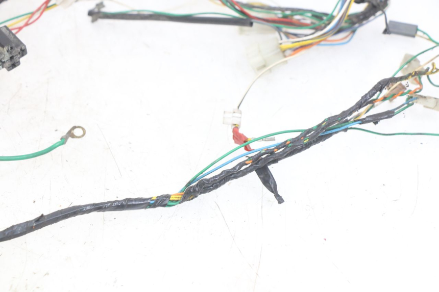 photo de WIRING HARNESS PEUGEOT TREKKER 50 (1998 - 2004)