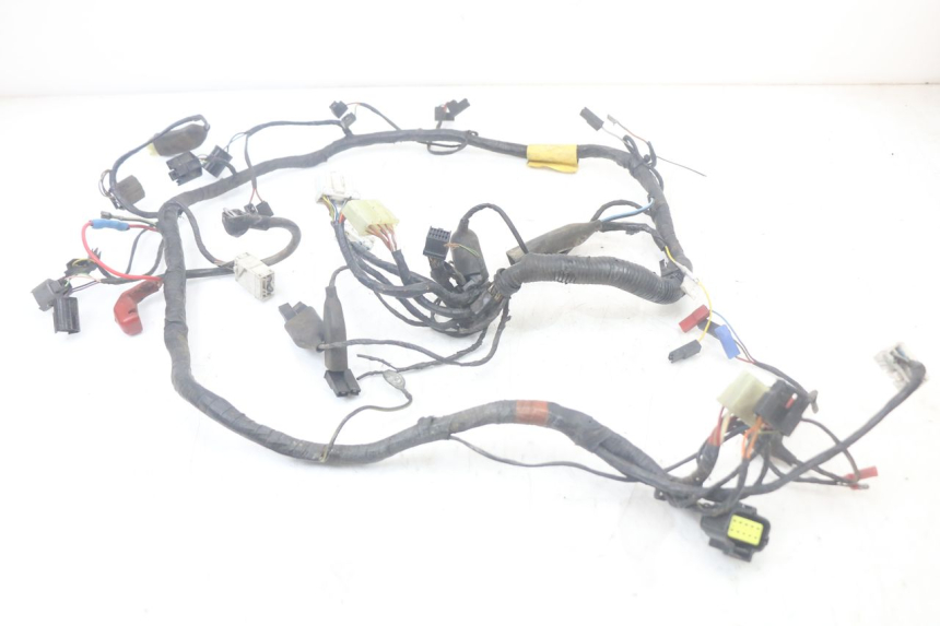 photo de WIRING HARNESS TRIUMPH SPEED TRIPLE T301 900 (1994 - 1996)