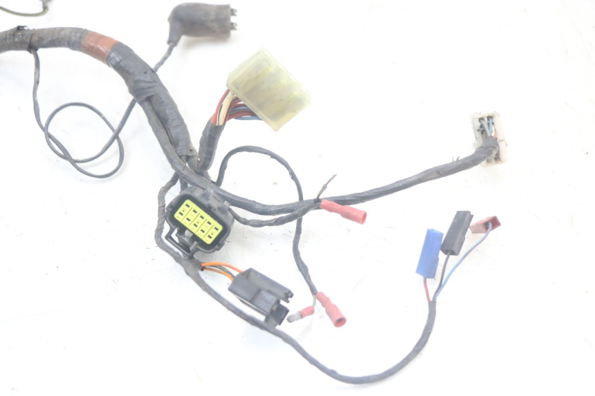 photo de WIRING HARNESS TRIUMPH SPEED TRIPLE T301 900 (1994 - 1996)