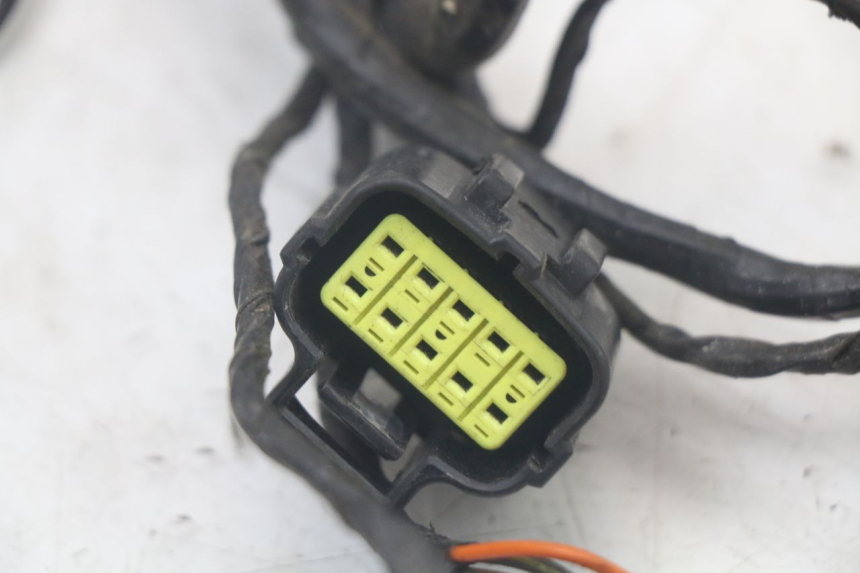 photo de WIRING HARNESS TRIUMPH SPEED TRIPLE T301 900 (1994 - 1996)