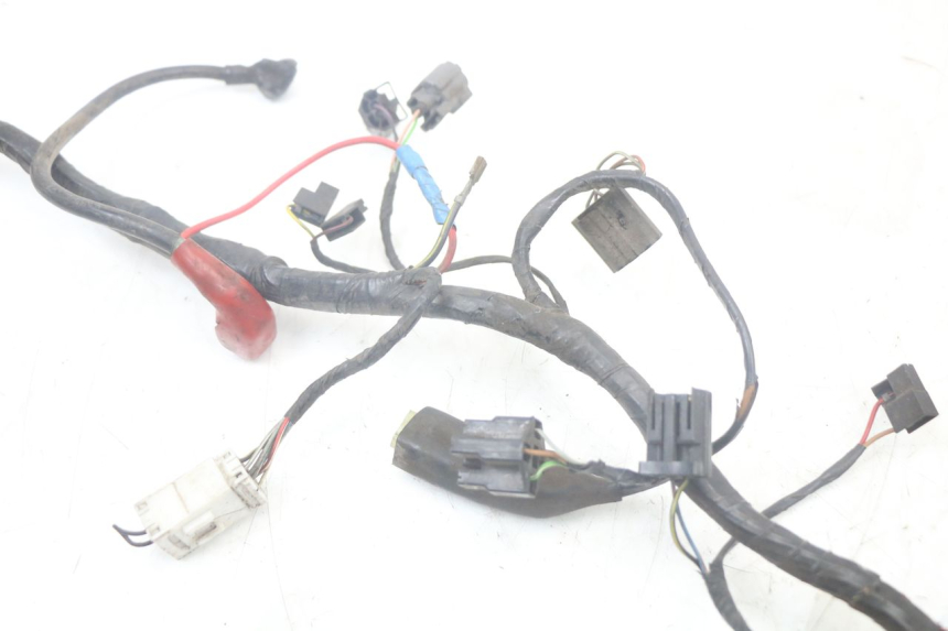 photo de WIRING HARNESS TRIUMPH SPEED TRIPLE T301 900 (1994 - 1996)