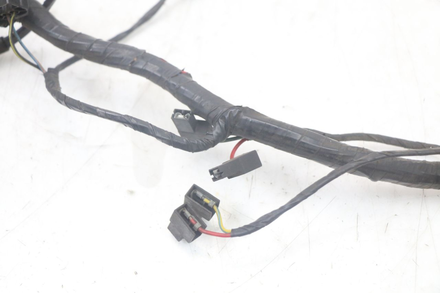 photo de WIRING HARNESS TRIUMPH SPEED TRIPLE T301 900 (1994 - 1996)