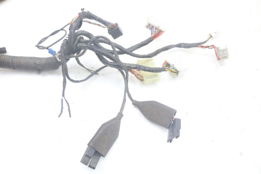 photo de WIRING HARNESS TRIUMPH SPEED TRIPLE T301 900 (1994 - 1996)