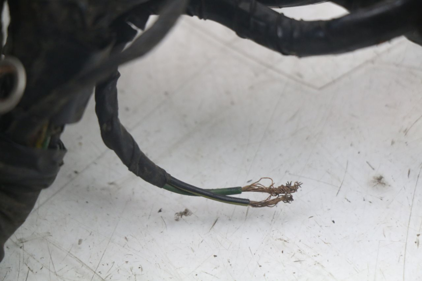 photo de WIRING HARNESS TRIUMPH SPEED TRIPLE T301 900 (1994 - 1996)