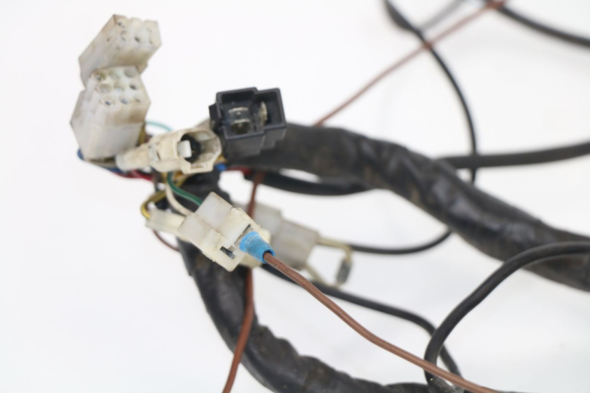 photo de WIRE HARNESS APRILIA TUONO 125 (2003 - 2005)