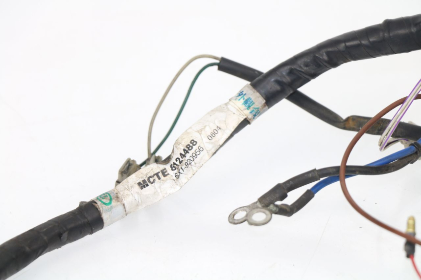 photo de WIRE HARNESS APRILIA TUONO 125 (2003 - 2005)