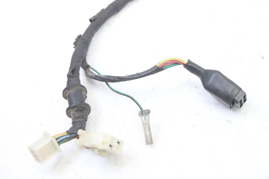 photo de WIRING HARNESS PEUGEOT TWEET 4T 50 (2014 - 2019)