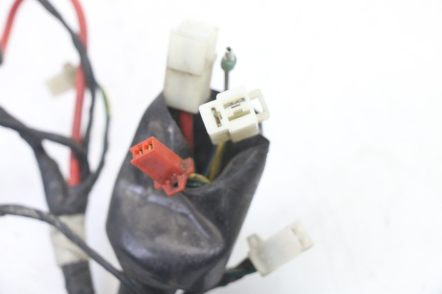 photo de WIRING HARNESS PEUGEOT TWEET 4T 50 (2014 - 2019)