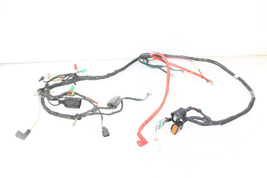 photo de WIRE HARNESS PEUGEOT TWEET 4T 50 (2018 - 2020)