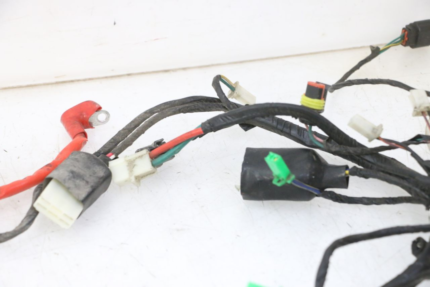 photo de WIRE HARNESS PEUGEOT TWEET 4T 50 (2018 - 2020)