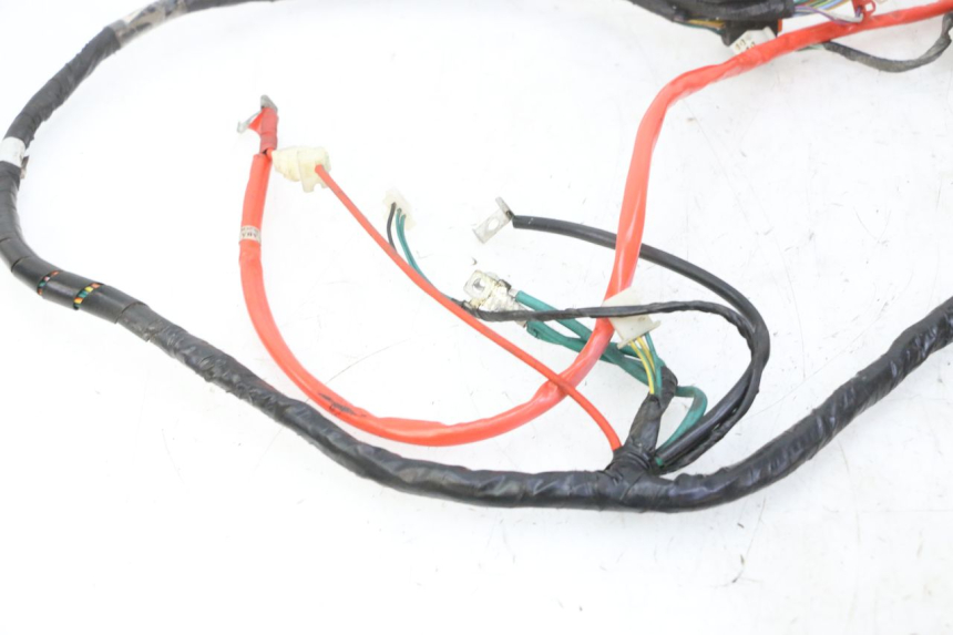 photo de WIRE HARNESS PEUGEOT TWEET 4T 50 (2018 - 2020)