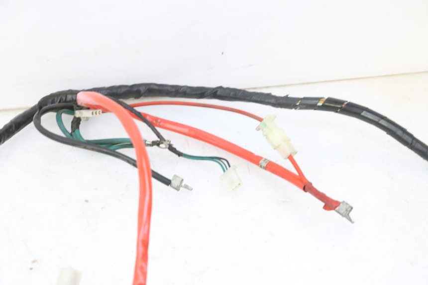 photo de WIRE HARNESS PEUGEOT TWEET 4T 50 (2018 - 2020)