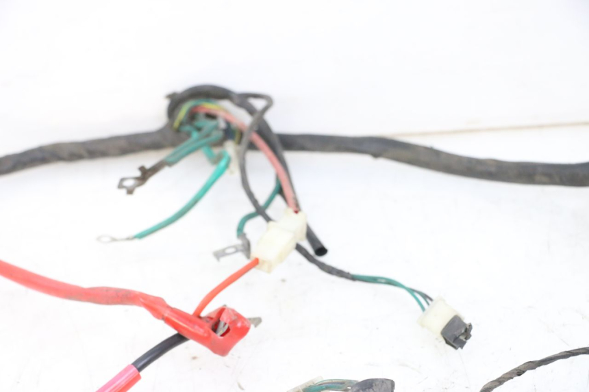 photo de WIRE HARNESS PEUGEOT TWEET PRO CARGO 50 (2018 - 2020)