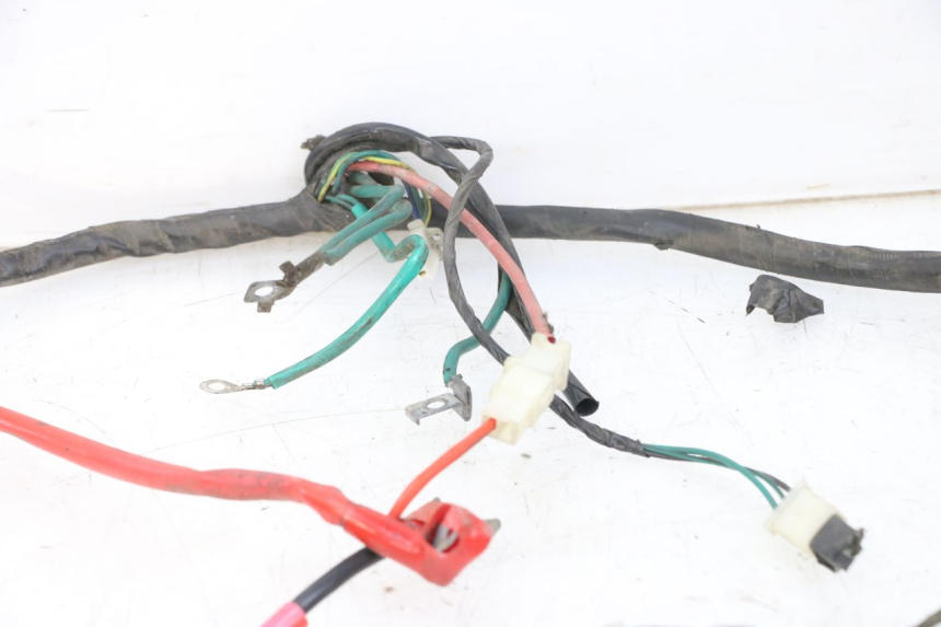 photo de WIRE HARNESS PEUGEOT TWEET PRO CARGO 50 (2018 - 2020)