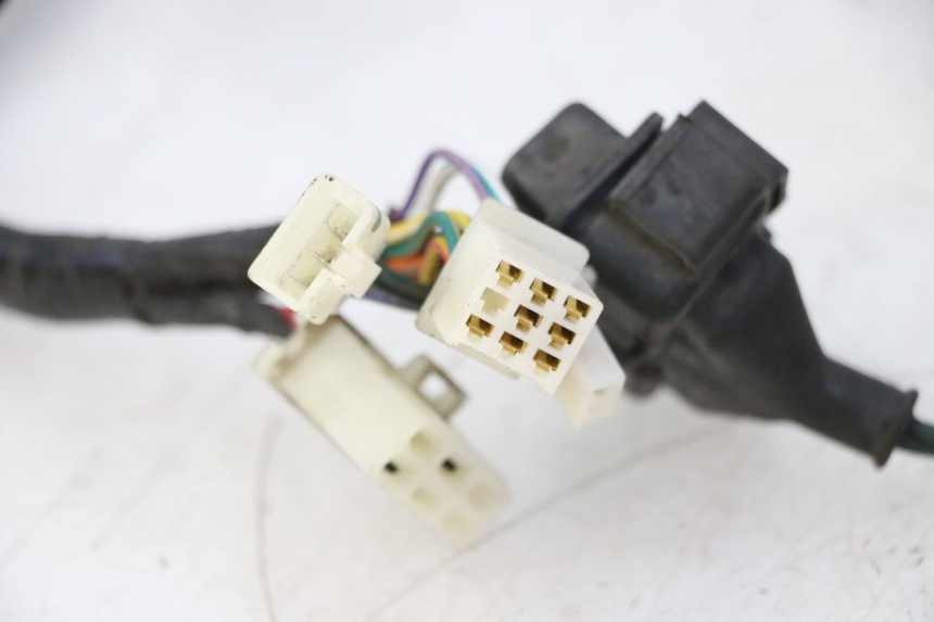 photo de WIRE HARNESS PEUGEOT TWEET PRO CARGO 50 (2018 - 2020)