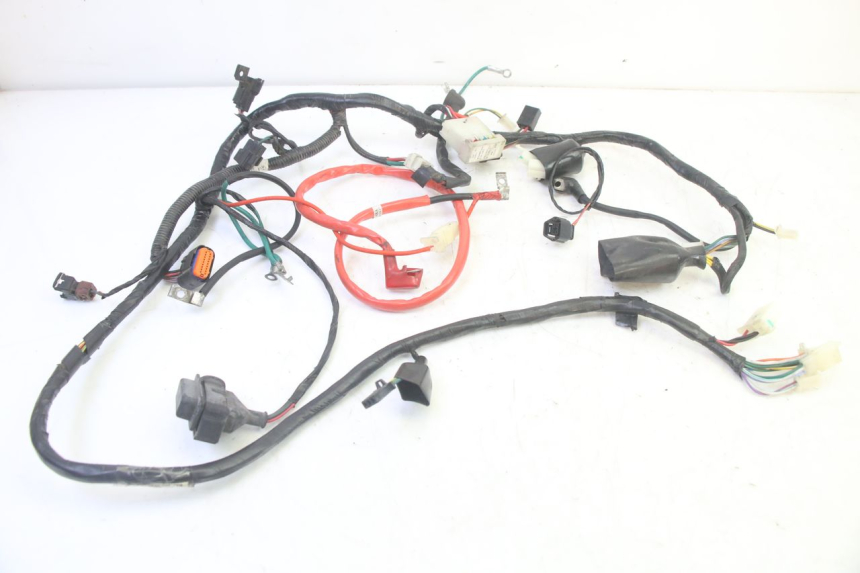 photo de WIRE HARNESS PEUGEOT TWEET PRO EFI 4T 50 (2021 - 2022)